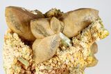 Lustrous, Yellow Apatite Crystals With Calcite & Feldspar - Morocco #185472-1